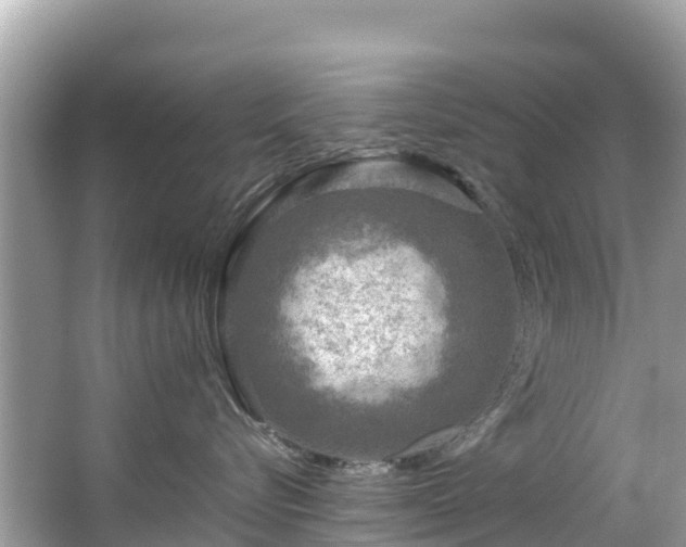 X0000065240576200602211216