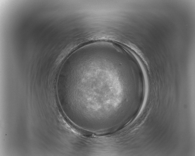 X0000065240577200602211215