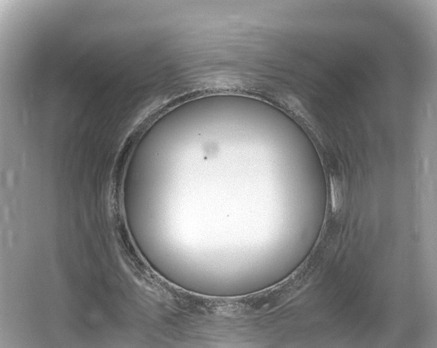 X0000065240579200602211215