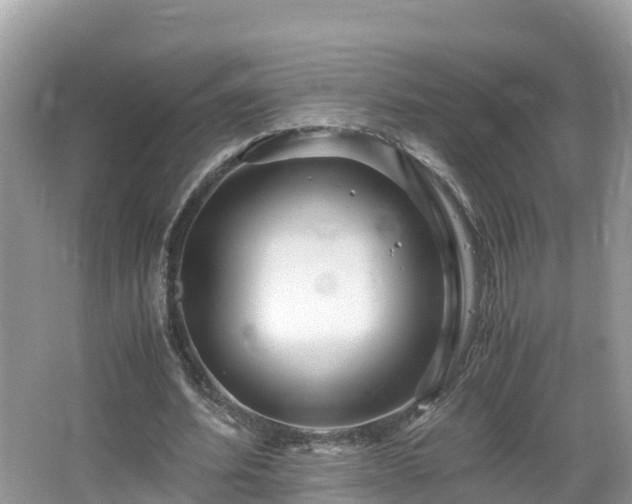 X0000065240580200602211215