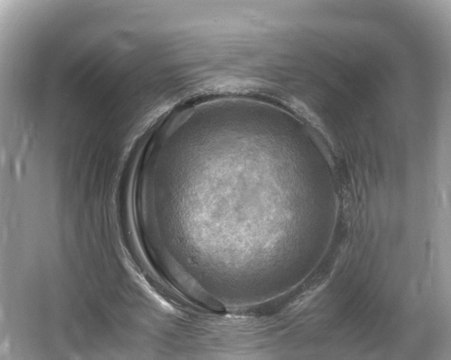 X0000065240581200602211215