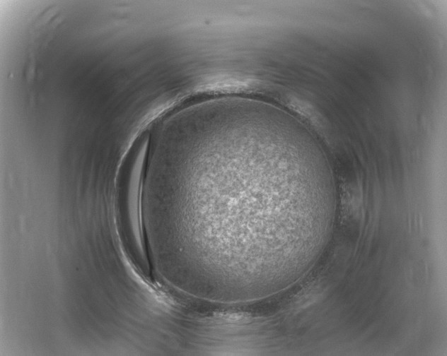 X0000065240582200602211215