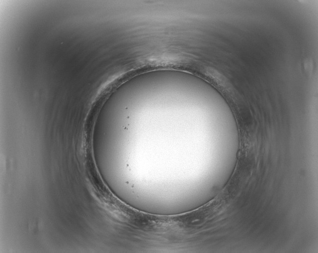 X0000065240583200602211215