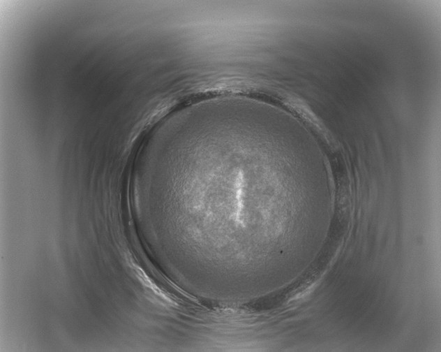 X0000065240585200602211215