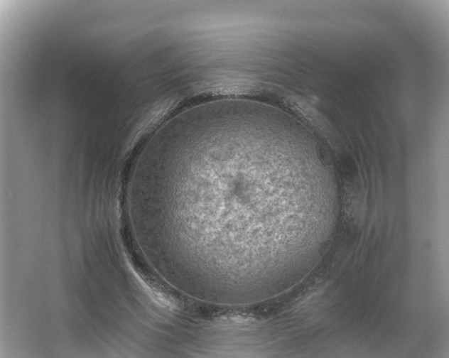 X0000065240586200602211215