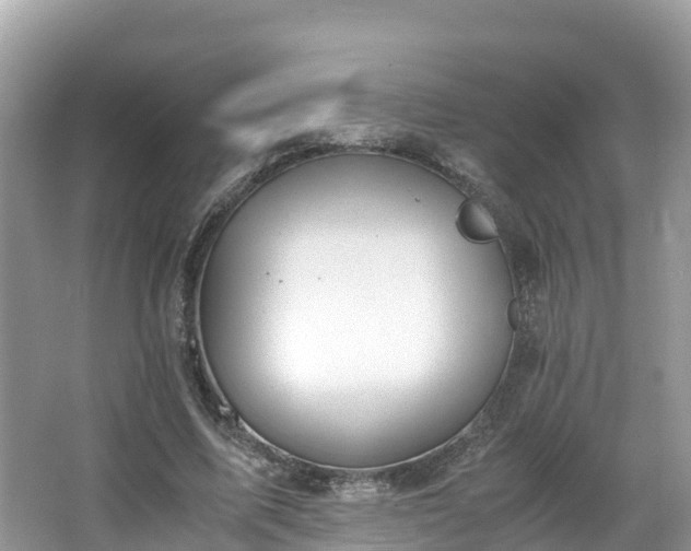 X0000065240587200602211215