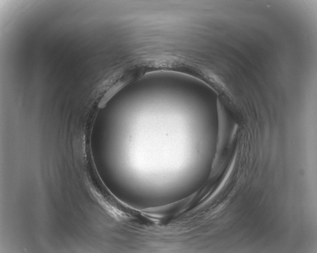 X0000065240589200602211215