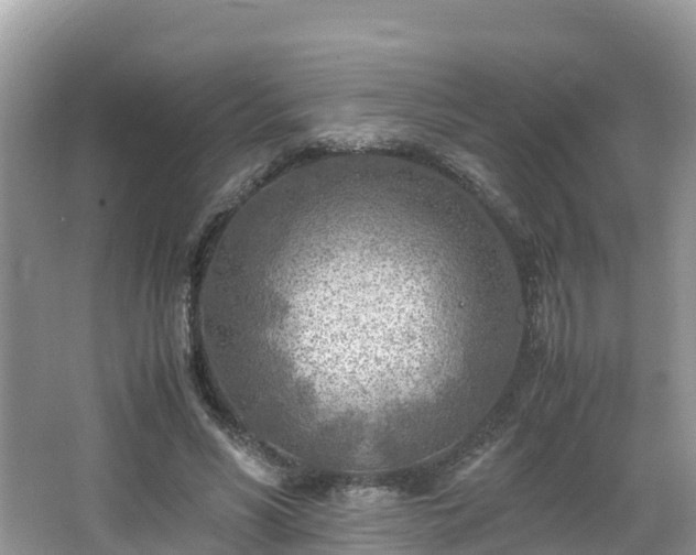 X0000065240590200602211215