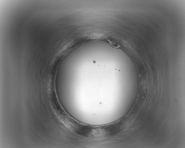 X0000065240591200602211215