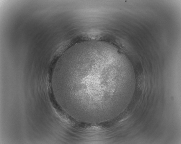 X0000065240594200602211215