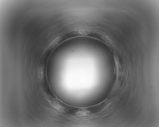 X0000065240595200602211215