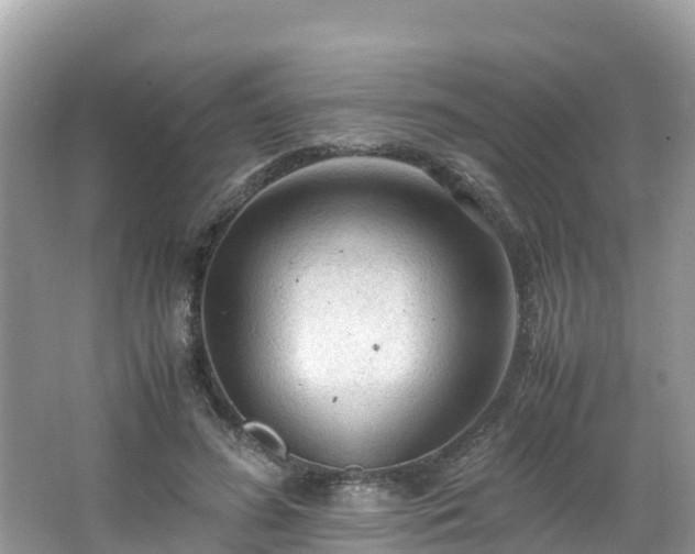 X0000065240596200602211215