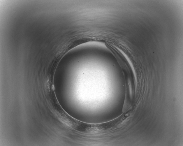 X0000065240597200602211215