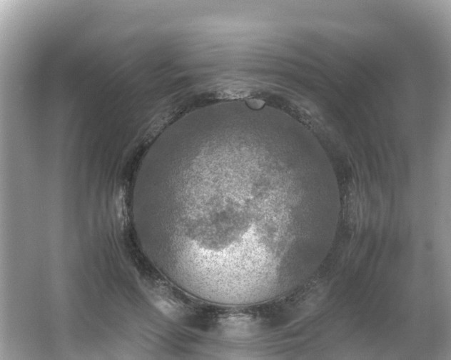 X0000065240598200602211215