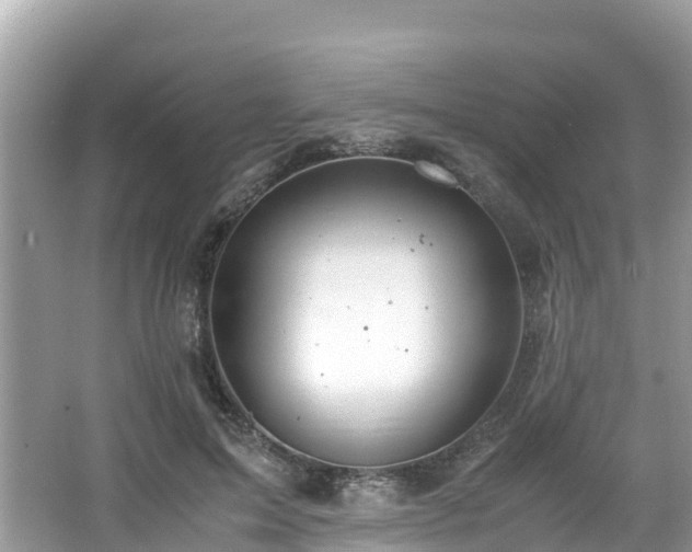 X0000065240599200602211215