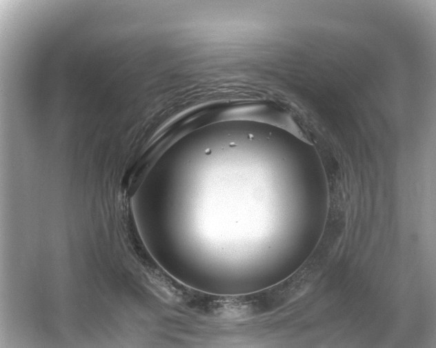 X0000065240601200602211215