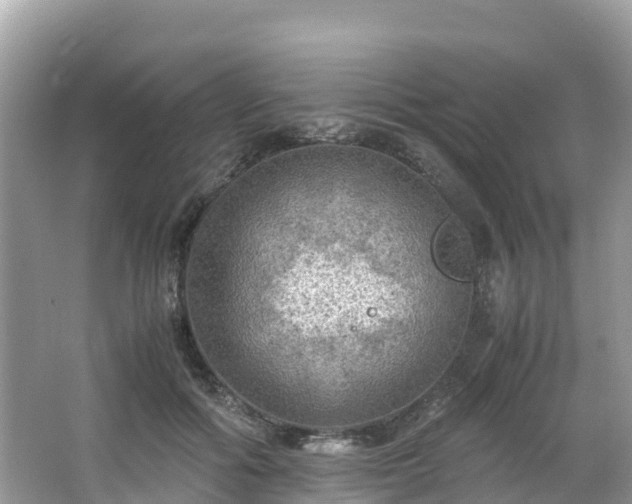 X0000065240602200602211215