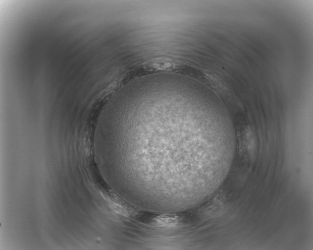 X0000065240606200602211215