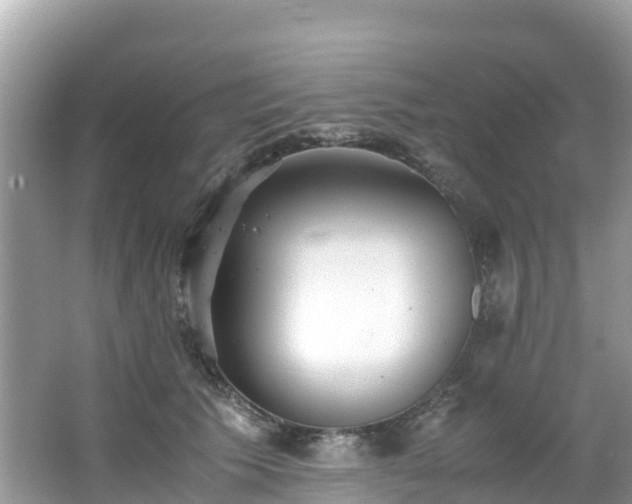 X0000065240609200602211215