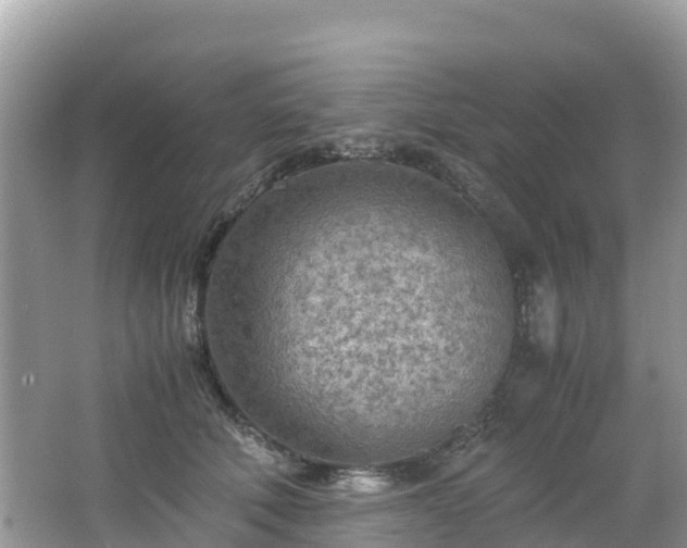 X0000065240610200602211215