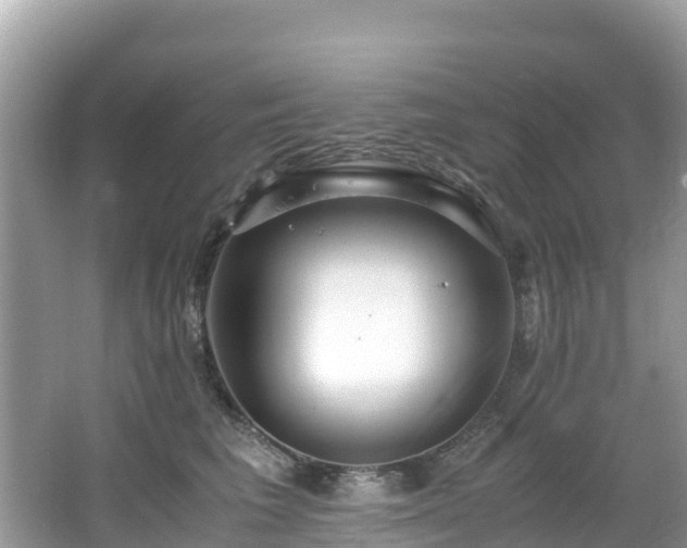 X0000065240613200602211215