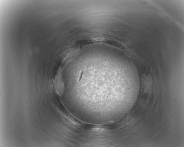 X0000065240614200602211215