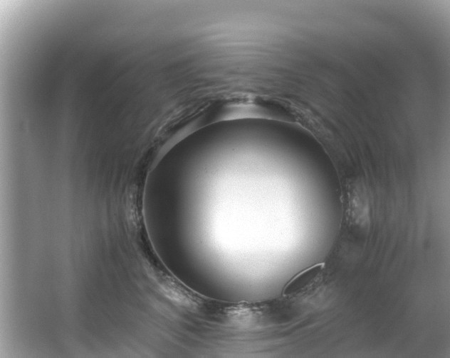 X0000065240616200602211215