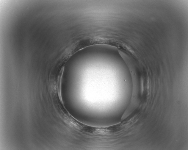 X0000065240617200602211215