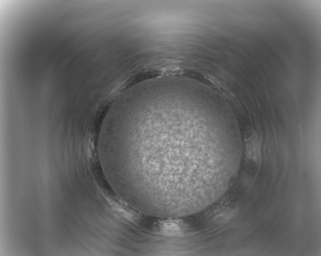 X0000065240618200602211215