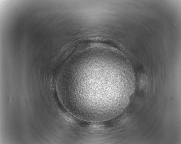 X0000065240619200602211215