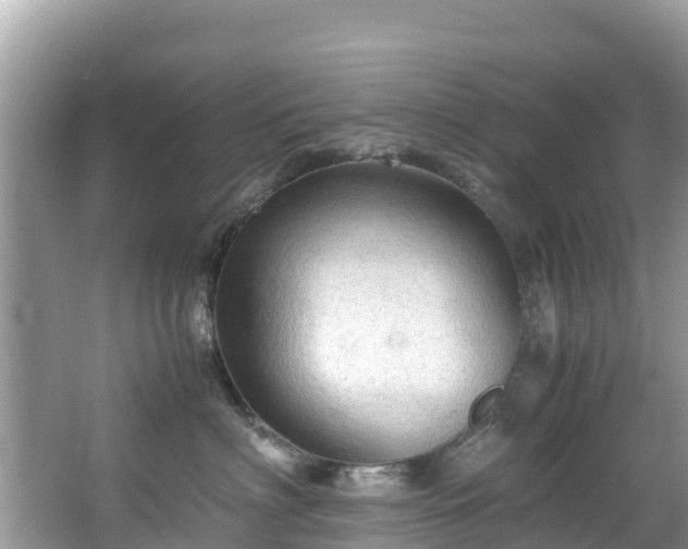 X0000065240622200602211214