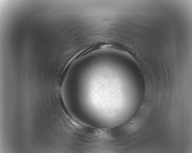 X0000065240624200602211214