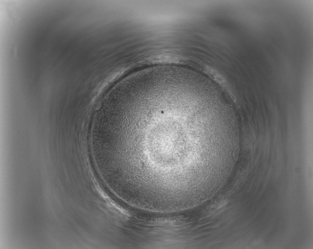 X0000065240625200602211214