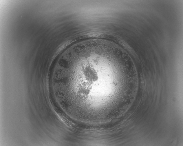 X0000065240626200602211214