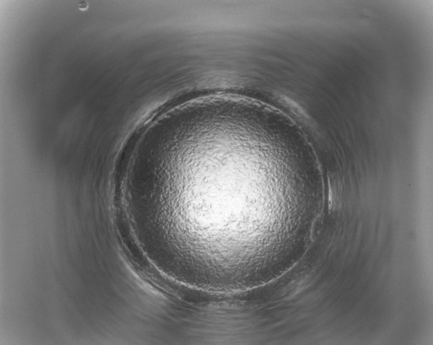 X0000065240627200602211214