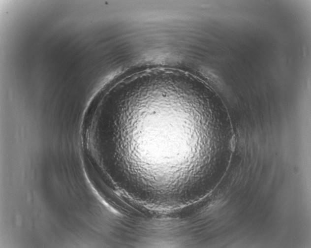 X0000065240630200602211214