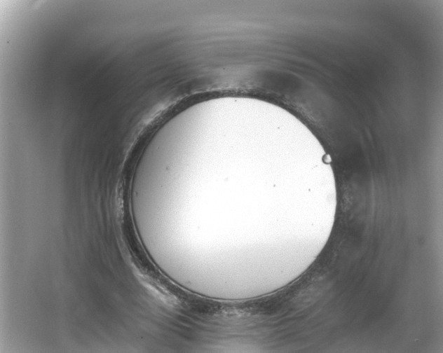 X0000065240632200602211214