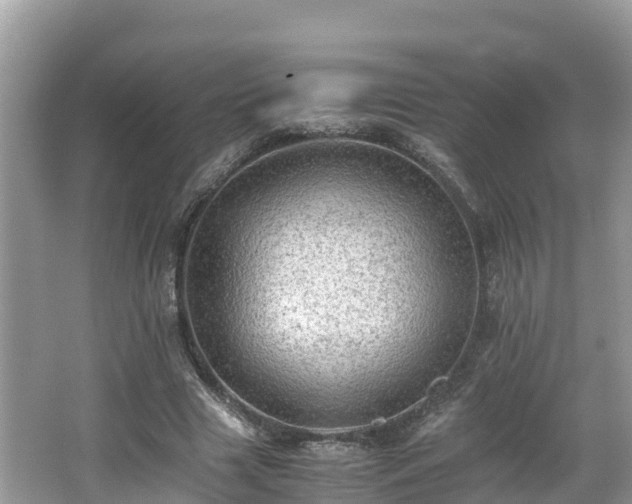 X0000065240633200602211214