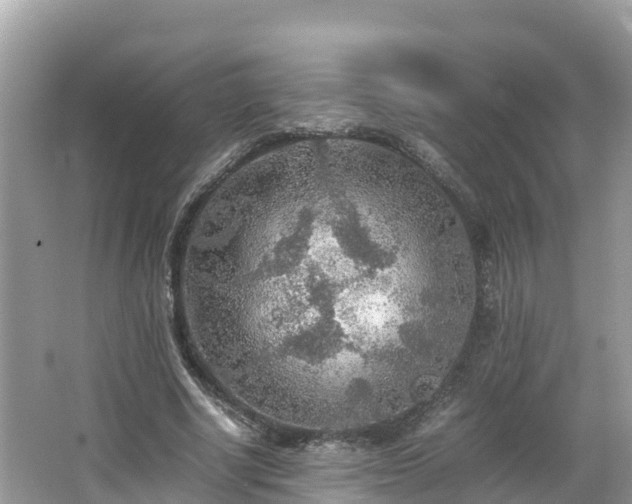 X0000065240634200602211214