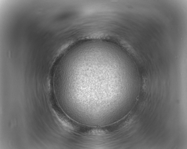 X0000065240636200602211214