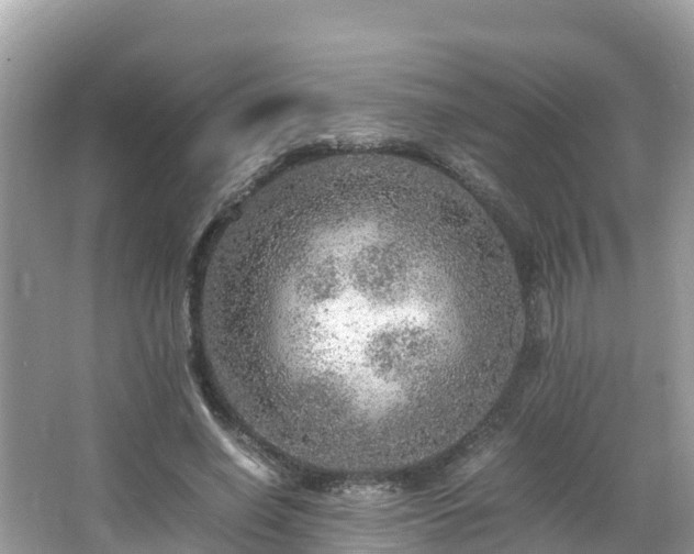 X0000065240638200602211214