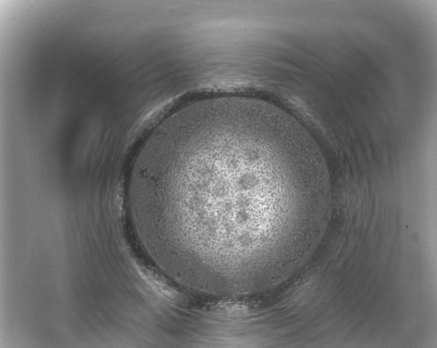 X0000065240640200602211214