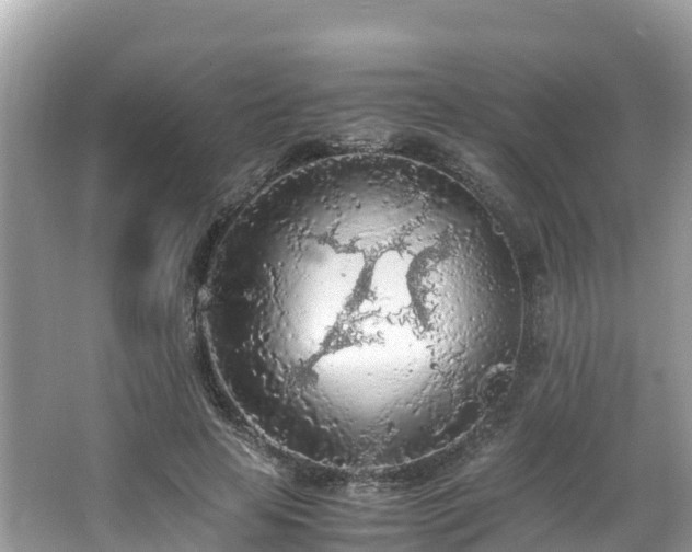 X0000065240641200602211214