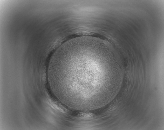 X0000065240642200602211214