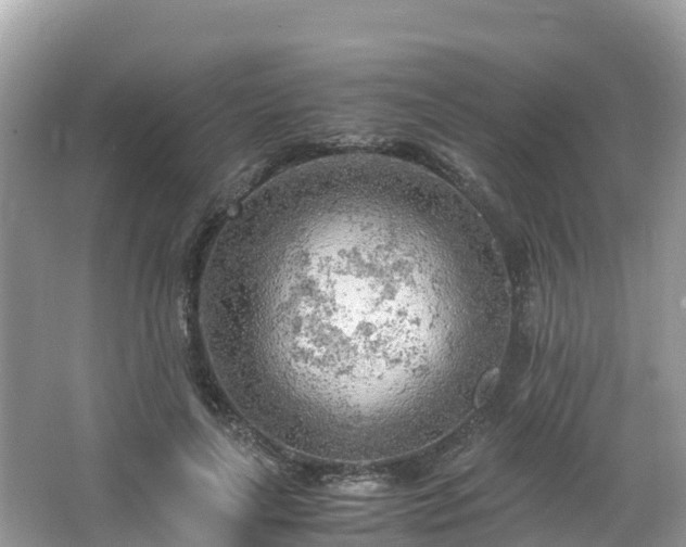 X0000065240643200602211214