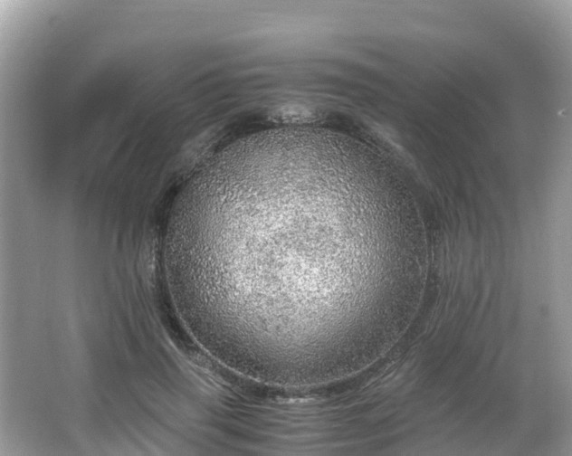 X0000065240645200602211214