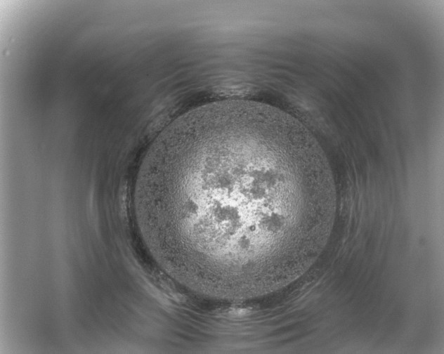 X0000065240647200602211214