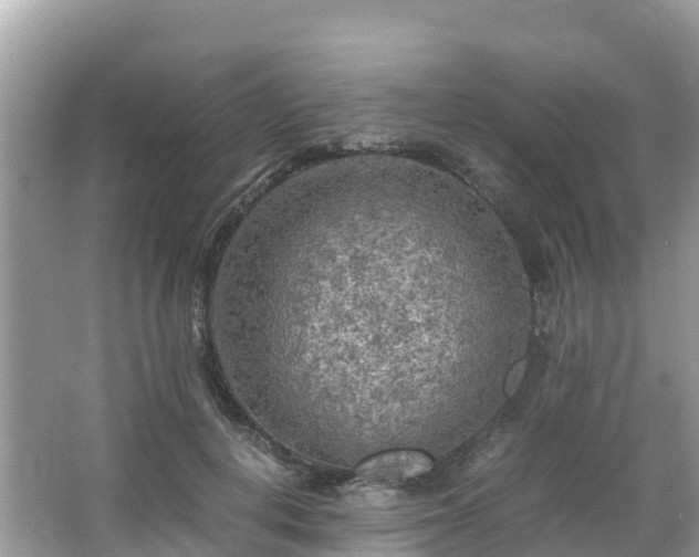 X0000065240648200602211214