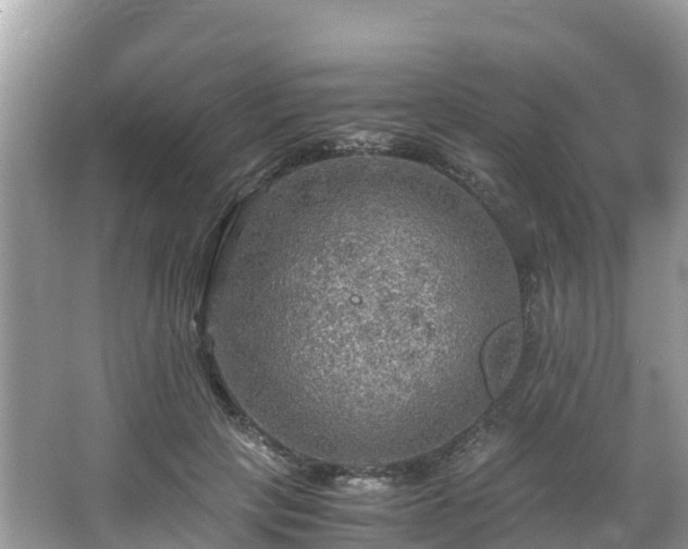 X0000065240649200602211214