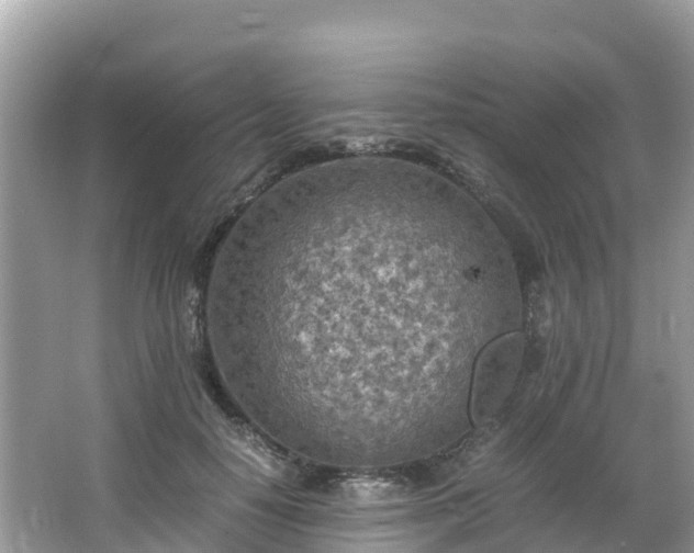 X0000065240650200602211214